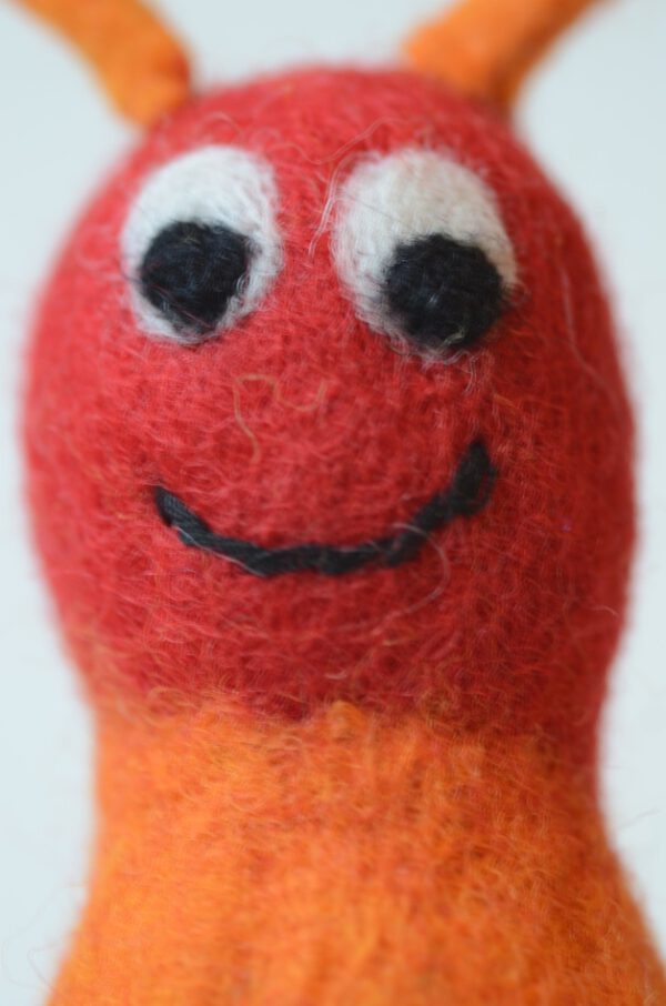 filz-eierwaermer-raupe-orange-gesicht