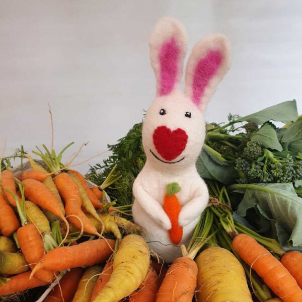 filzeierwaermer hase im Gemüsebett