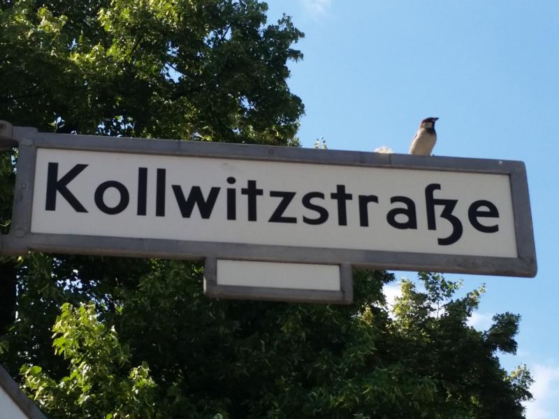 Kollwitzstraße