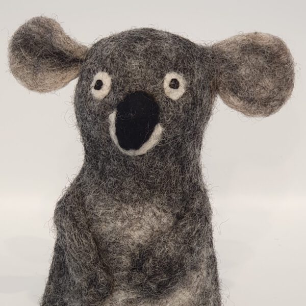 filzeierwärmer_Koala_gesicht